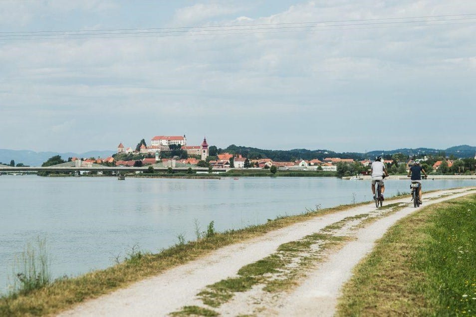 13_Ptujsko-jezero-1024x636
