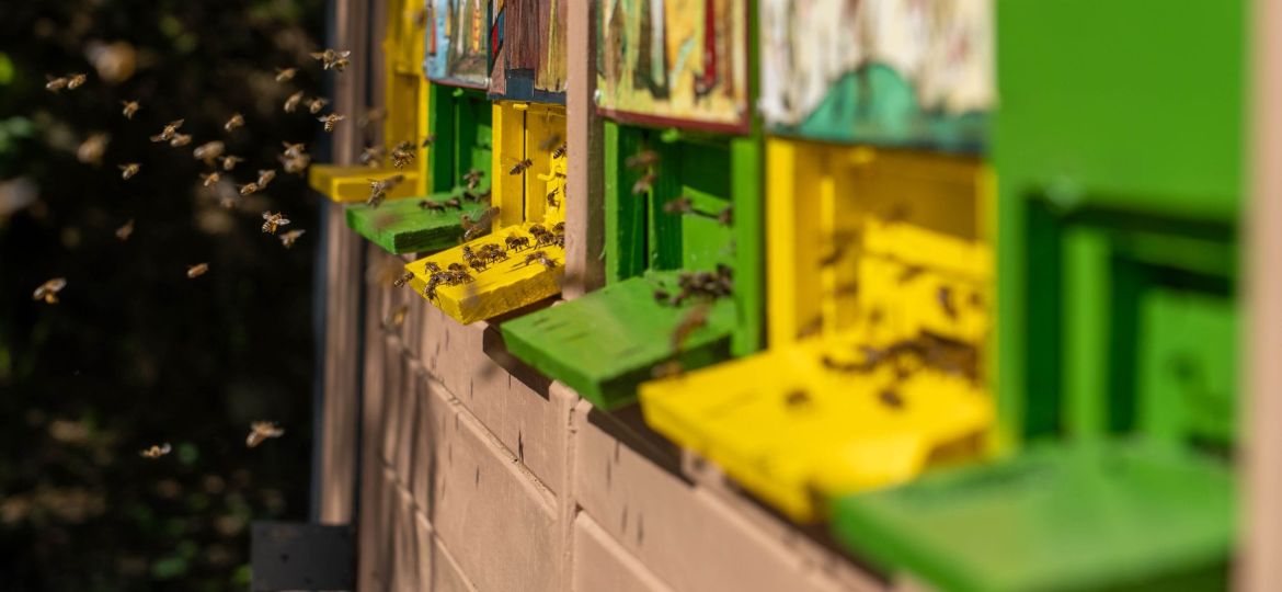 _DSC5663